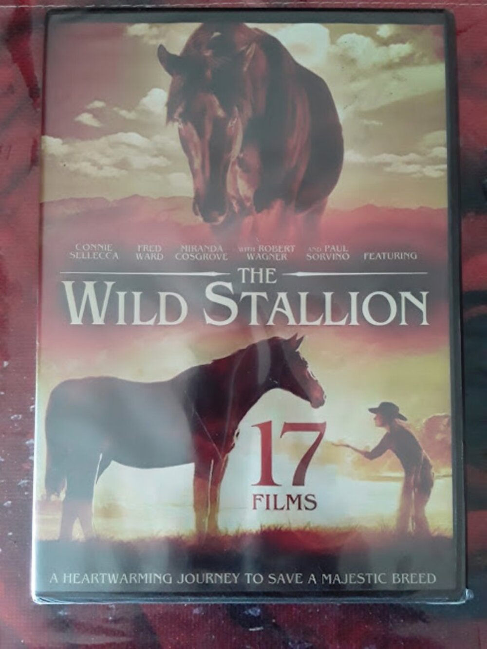 3-disc DVD collection titled 17-Family Films Featuring The Wild Stallion